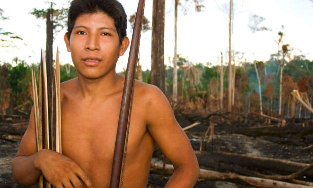 La tribu Awa d’Amazonie risque de bientôt disparaître