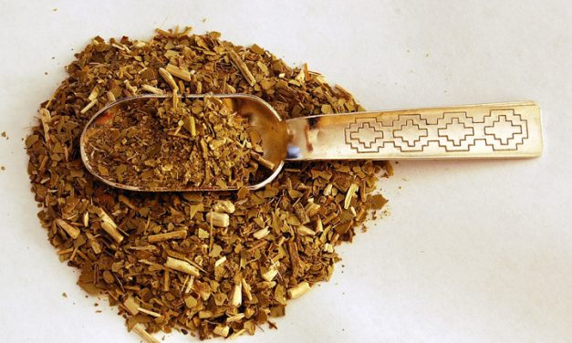 Le maté : une boisson guarani devenue un élixir de vie