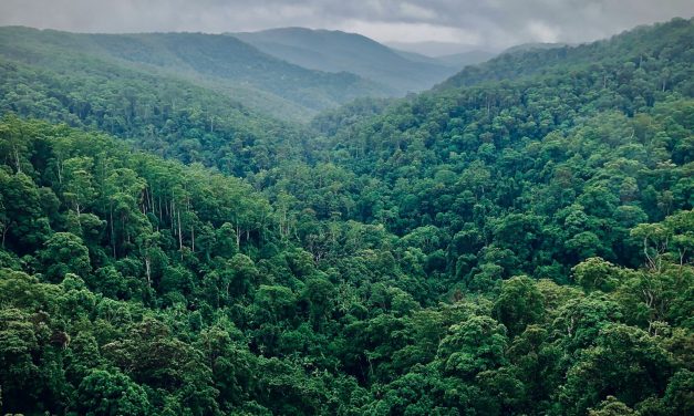 Sobre «La Vorágine», en el corazón de la Colombia del siglo XX