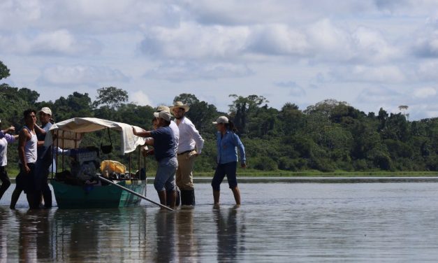 Biodiversité Amazonienne : la protection de la réserve Yanayacu-Maquia