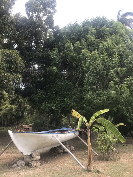 Imagen de un barco en una playa