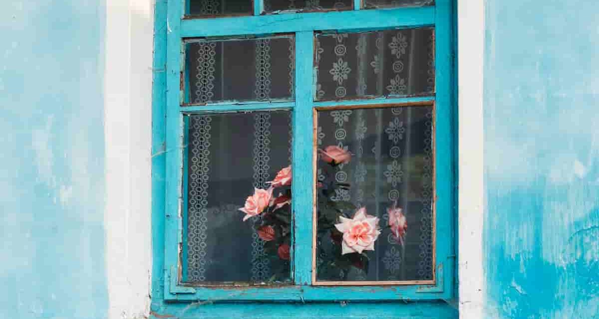 Cine club Uruguayo en Francia