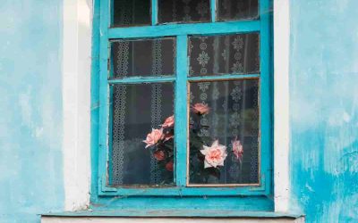 Ciné-club Uruguayen en France