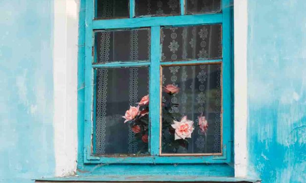 Ciné-club Uruguayen en France