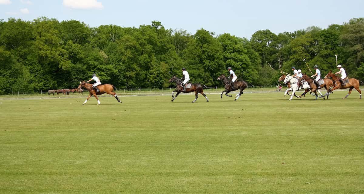 Argentina: la referencia mundial del Polo