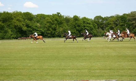 L’Argentine, la référence mondiale du Polo