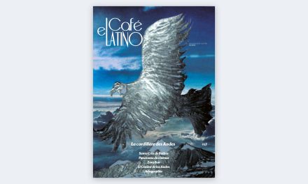 Magazine n°17