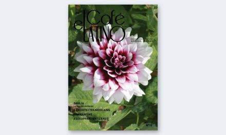 Revista n°12