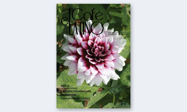 Magazine n°12