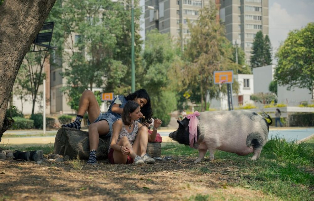 «Chicas Tristes», à Paris : le film mexicain qui a remporté l’Ours de cristal à la Berlinale 2026